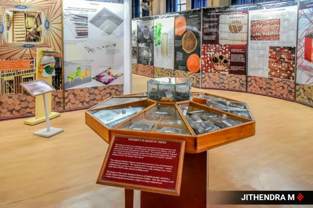Discover the Art and Science of Wood at Bengaluru's Unique Museum
